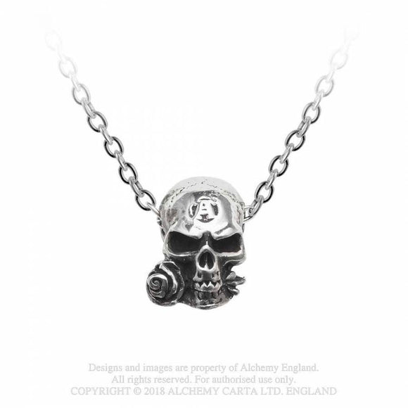 Alchemist Amulet - Alchemy Gothic Colgante - Metal Old Skull