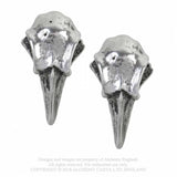 Rabeschadel Stud Pendientes - Metal Old Skull