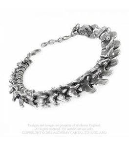 Vertebrae Bracelet - Metal Old Skull
