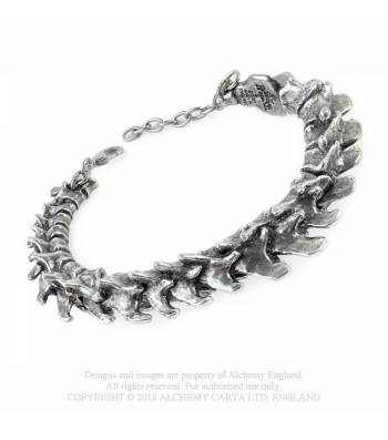Vertebrae Bracelet - Metal Old Skull