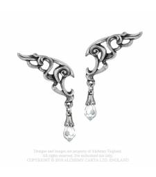 Wings of Eternity Pendientes - Metal Old Skull